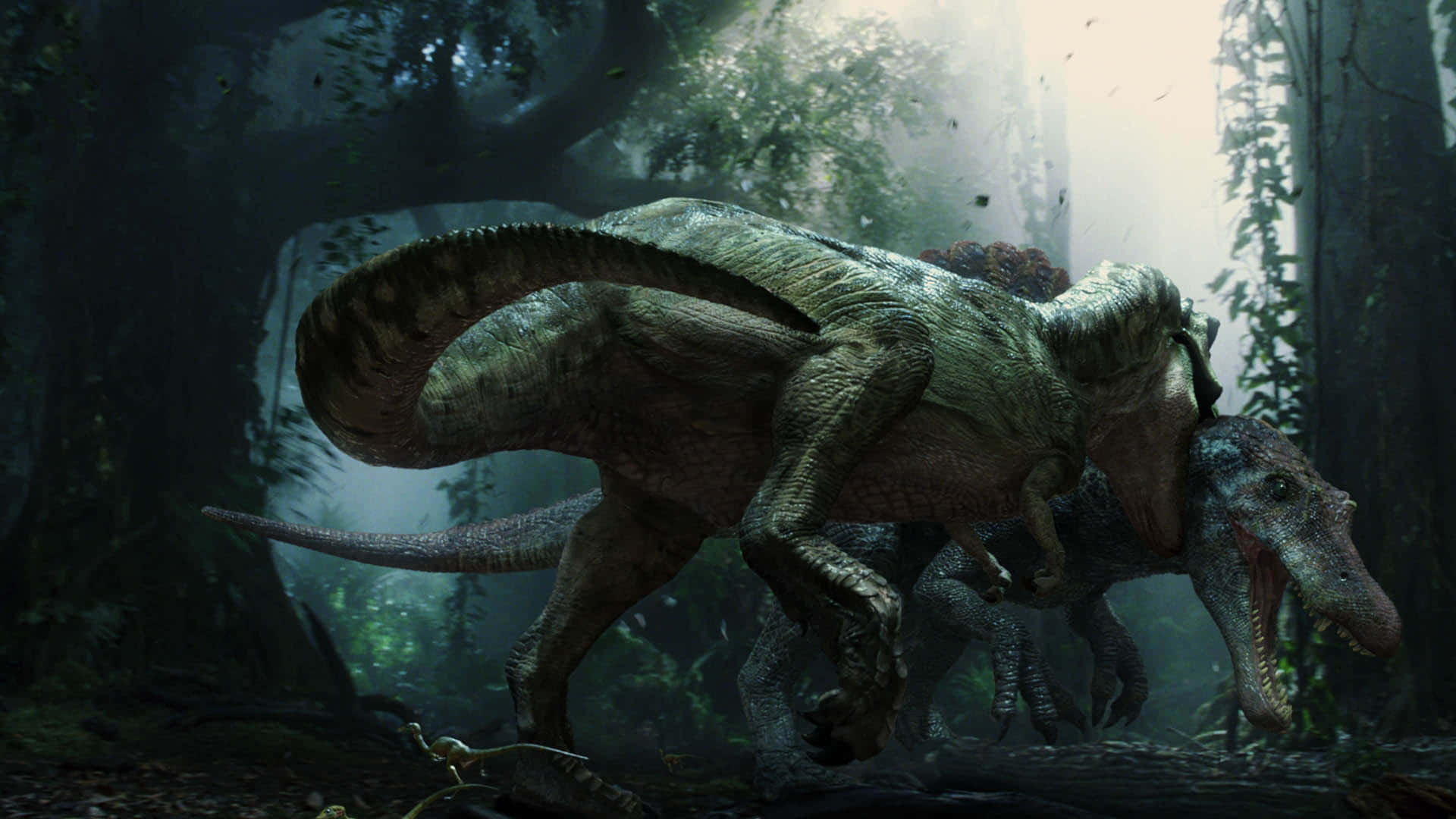 Spinosaurus, Cretaceous period, mist, Full HD Desktop Wallpaper