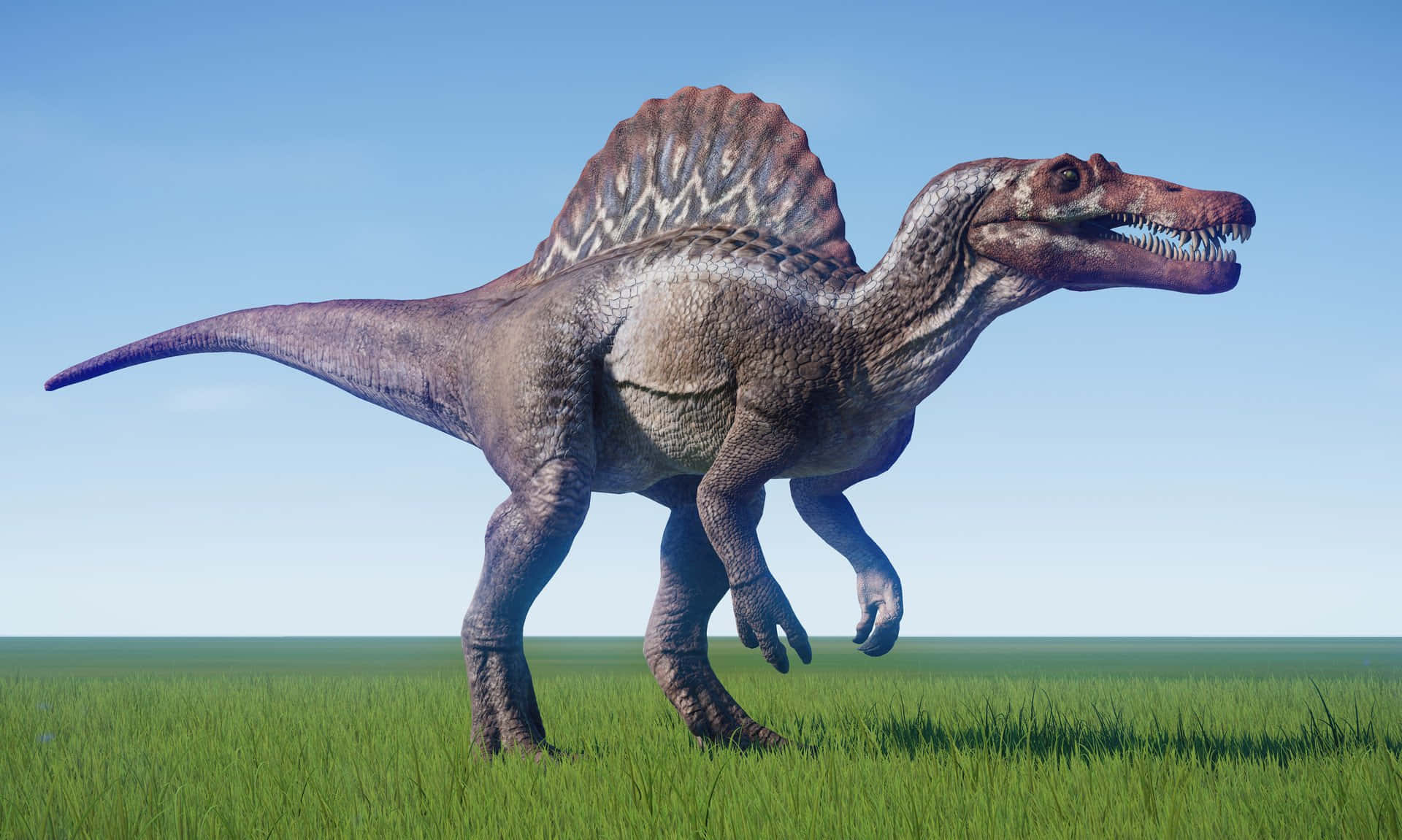 Spinosaurus, 3d-rendered, green field, Full HD Desktop Wallpaper