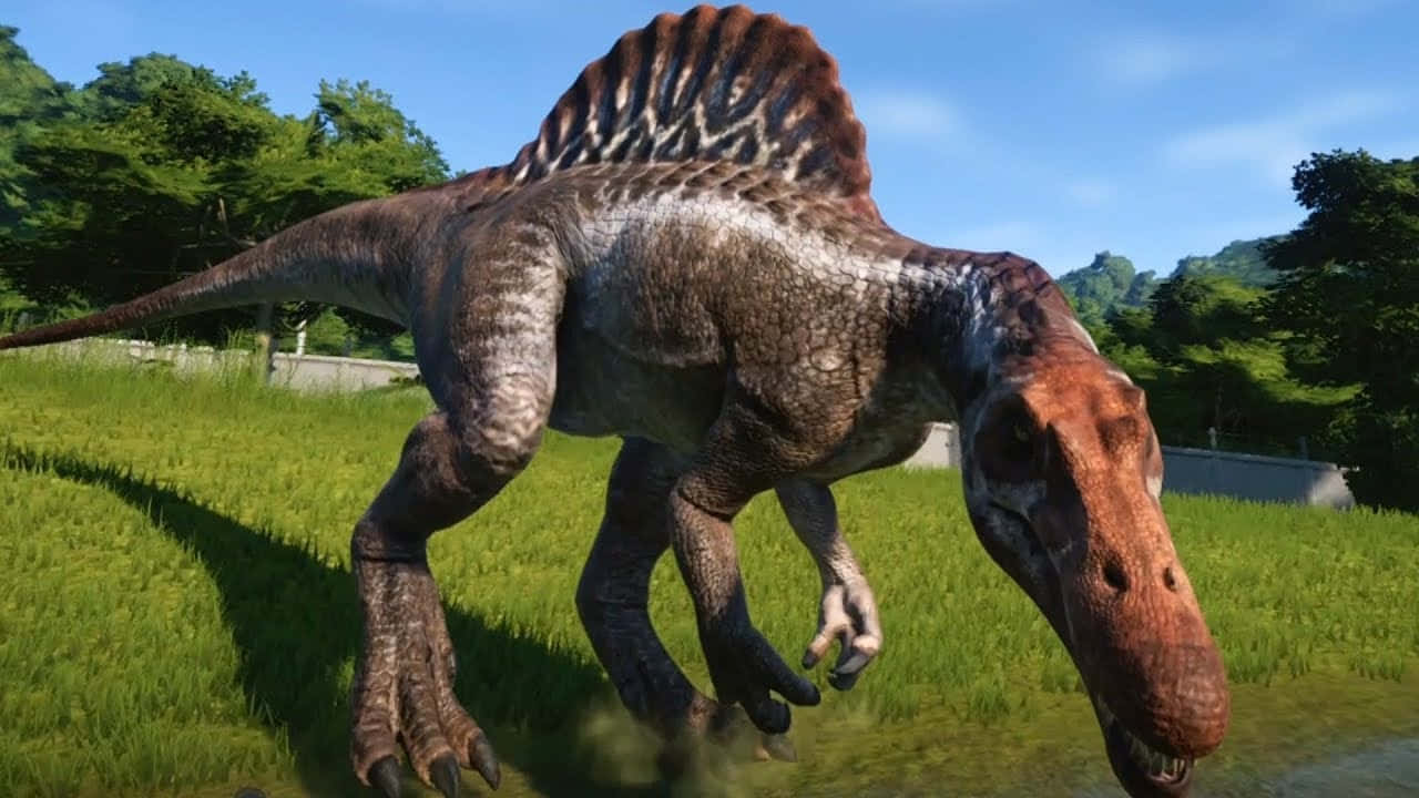Spinosaurus, jungle, sunlit grassy field, HD Desktop Wallpaper
