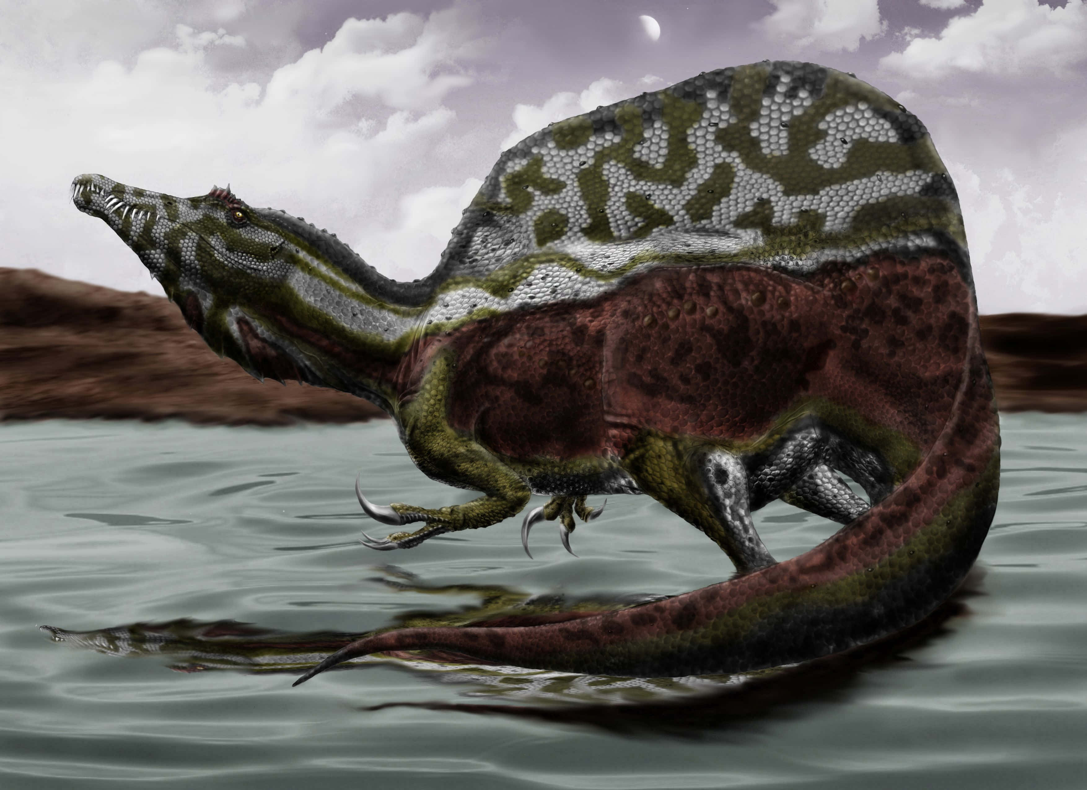 Spinosaurus, spiky armored dinosaur, patterned sail, 2K Desktop Wallpaper