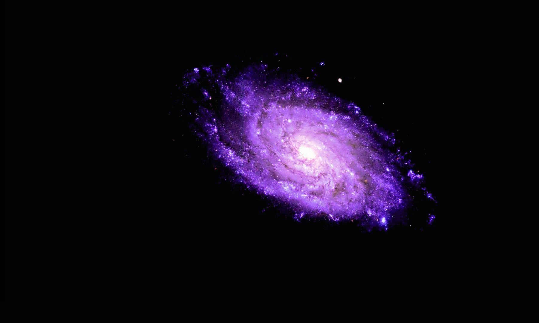 Spiral Galaxy, vibrant purple, deep black cosmic void, HD Desktop Wallpaper