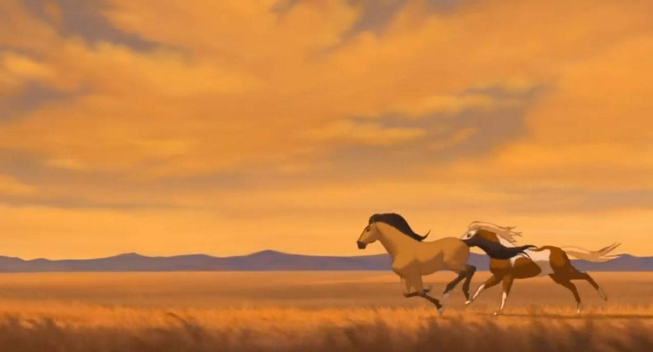 Spirit Stallion Of The Cimarron, golden grassland, warm orange sunset sky, SD Desktop Wallpaper