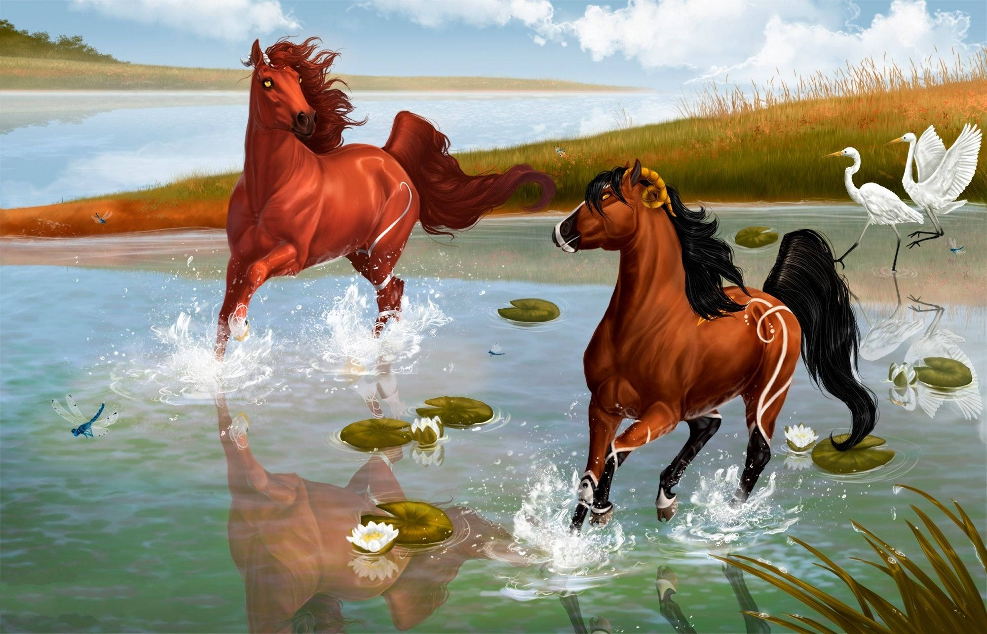 Spirit Stallion Of The Cimarron, horses, galloping on water, Full HD Desktop Wallpaper