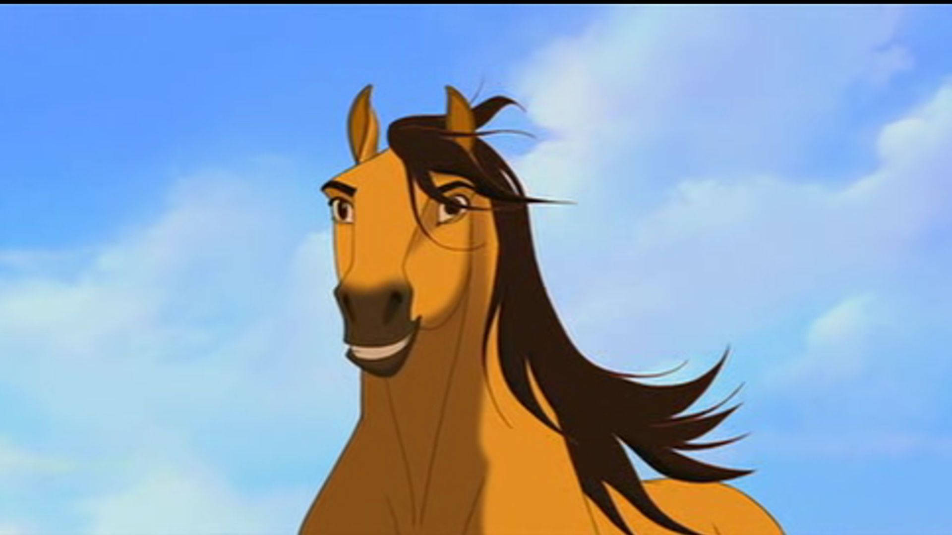 Spirit Stallion Of The Cimarron, horse, dark mane, Full HD Desktop Wallpaper