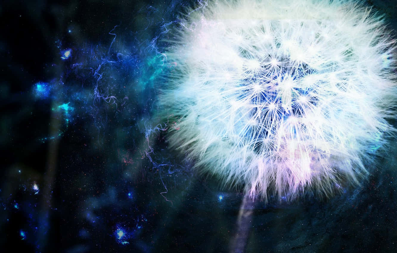 dandelion, blue, purple, HD Desktop Wallpaper