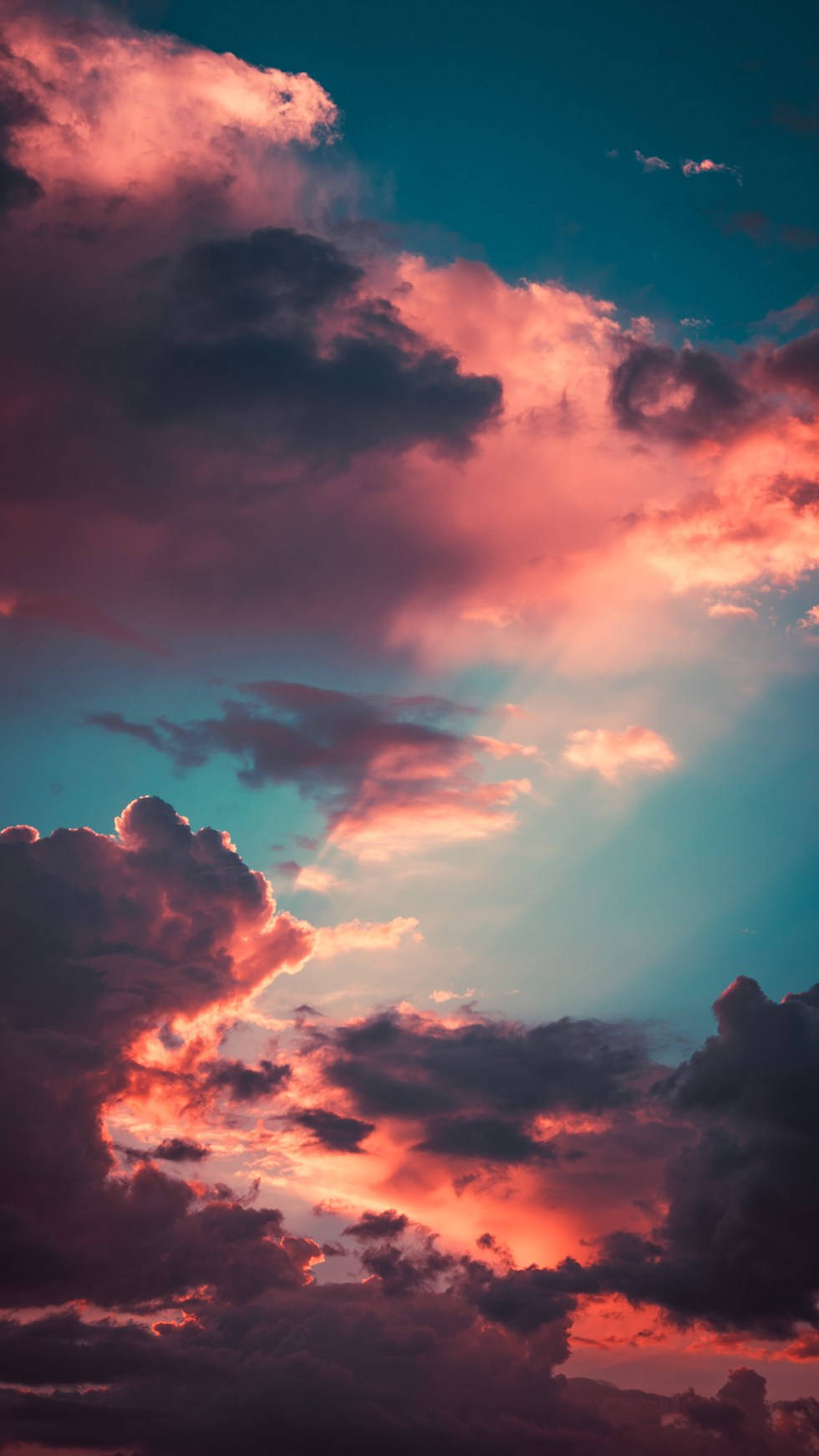 Ethereal Forest Dawn, pink, orange, HD Phone Wallpaper