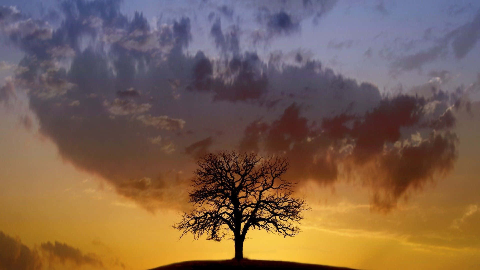 Spiritual Warfare, sunset, fiery orange, Full HD Desktop Wallpaper
