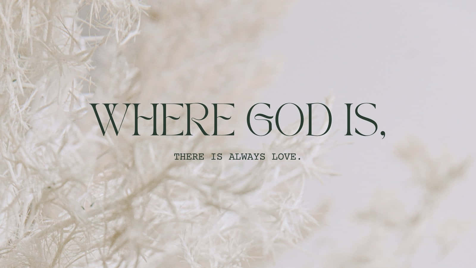 WHERE GOD IS THERE IS ALWAYS LOVE, dark green text, soft white dried grasses, HD Desktop Wallpaper