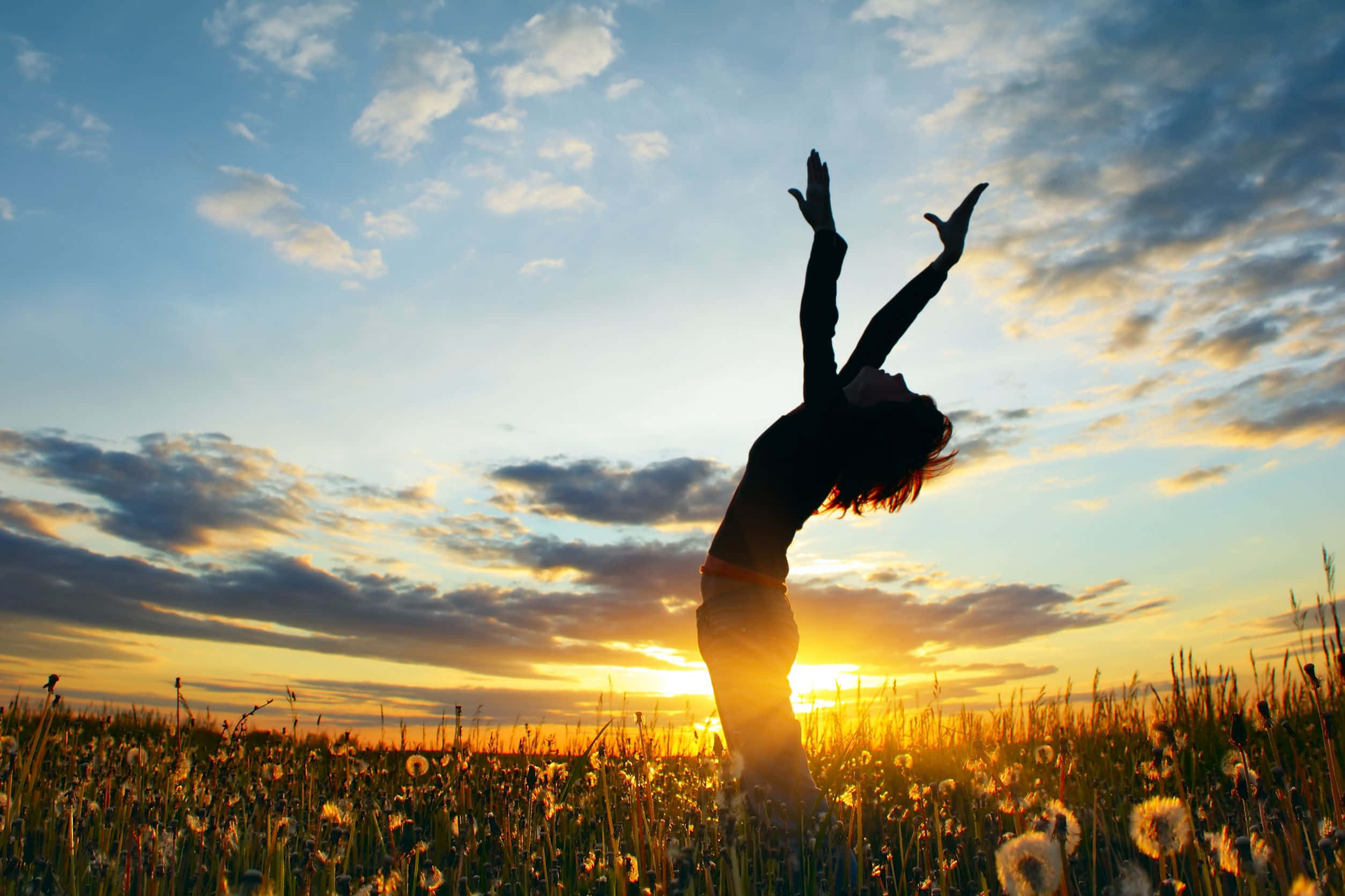 spirituality, dandelions, golden sunset, Full HD Desktop Wallpaper