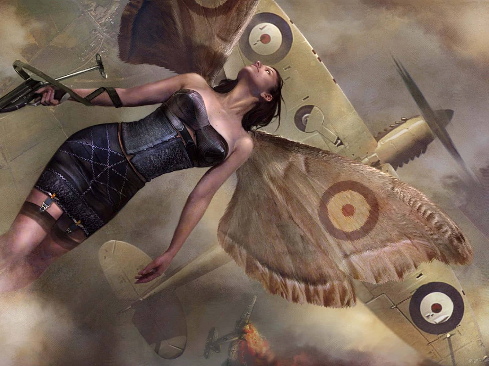 Spitfire, moth wings, vintage fighter plane, HD Desktop Wallpaper