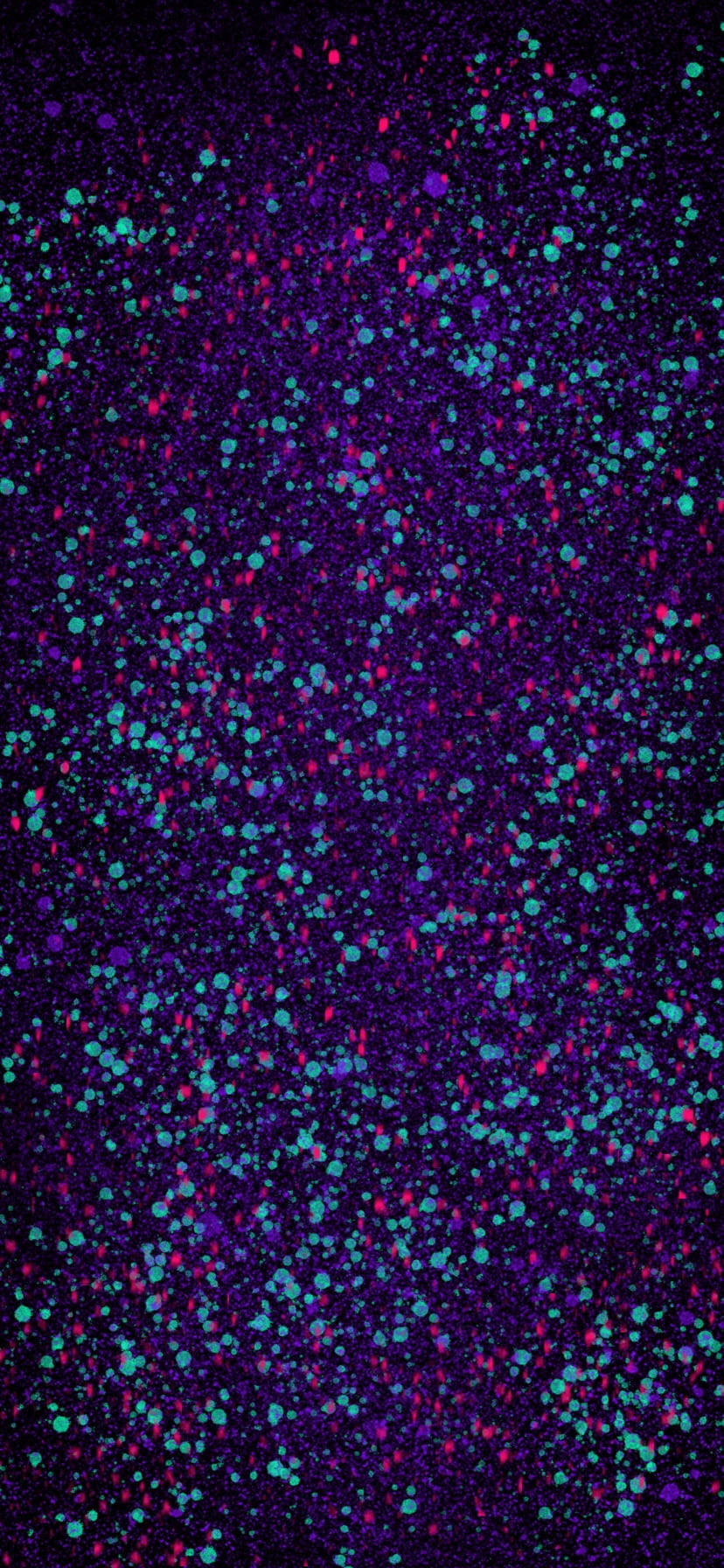Splatter Paint, green, red, HD Phone Wallpaper