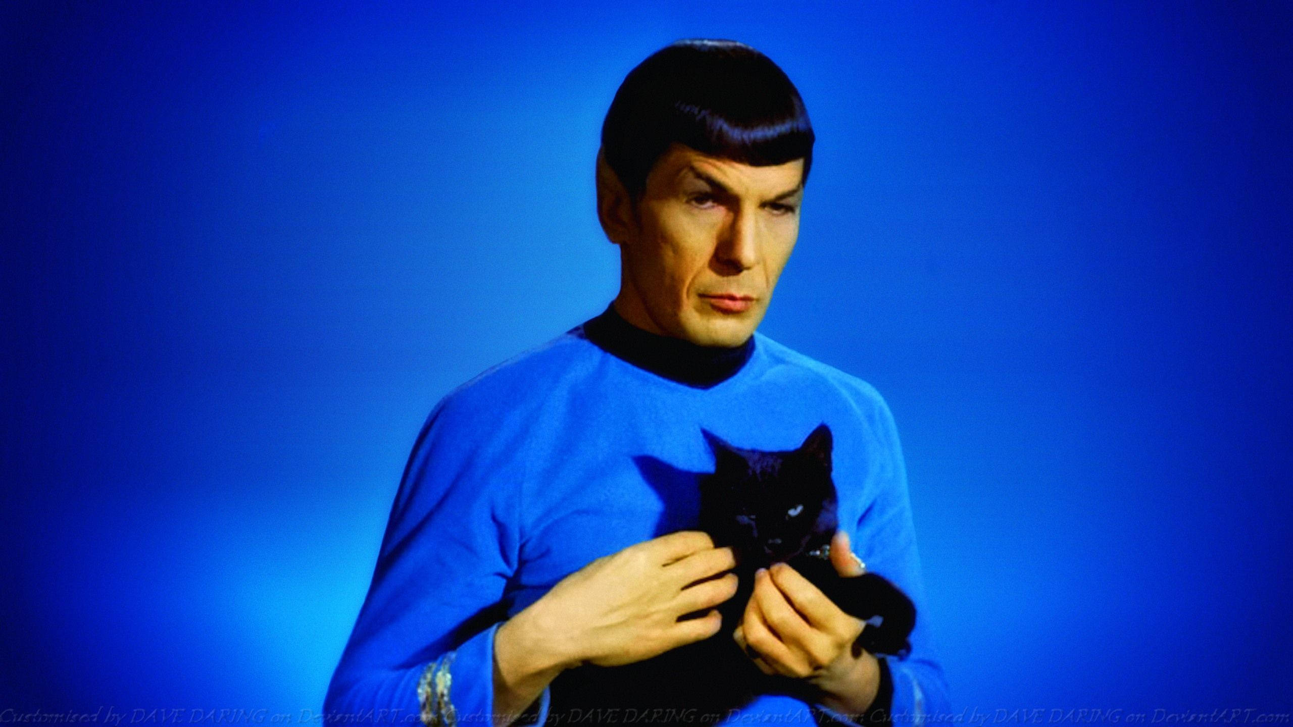 Spock, black cat, blue uniform, 2K Desktop Wallpaper