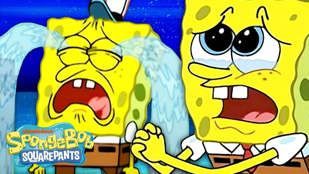 Spongebob, crying, screaming, HD Desktop Wallpaper