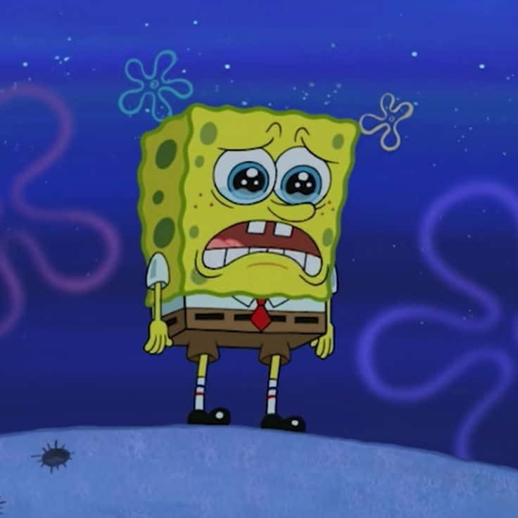 SpongeBob SquarePants, deep blue ocean, underwater, SD Desktop Wallpaper