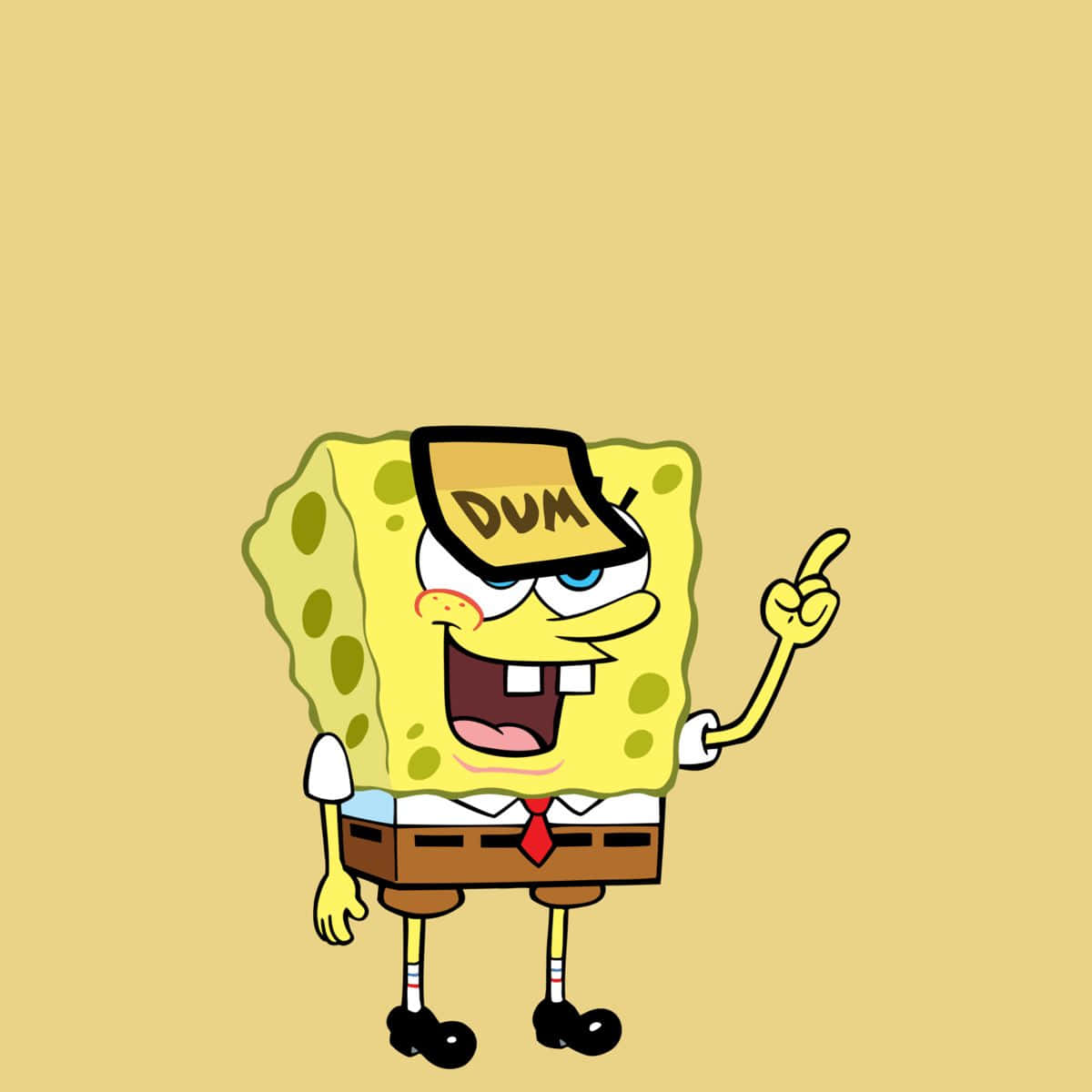 SpongeBob SquarePants, DUM hat, cheerful grin, SD Desktop Wallpaper
