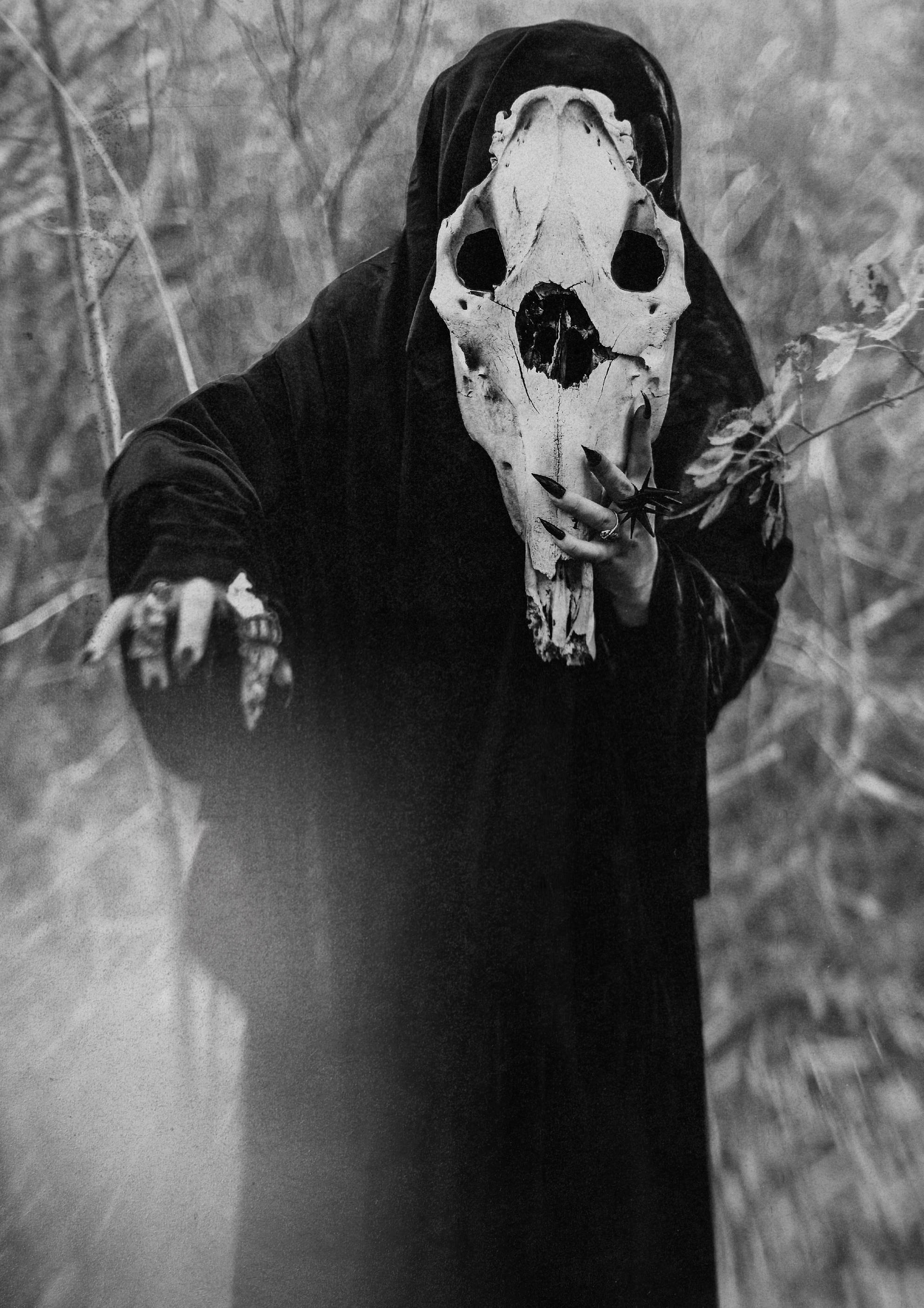 hooded figure, black robes, weathered animal skull mask, 2K Phone Wallpaper