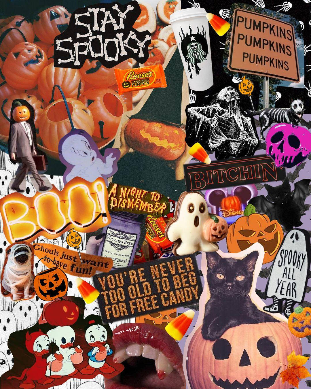 Spooky Aesthetics, Halloween, pumpkins, HD Phone Wallpaper