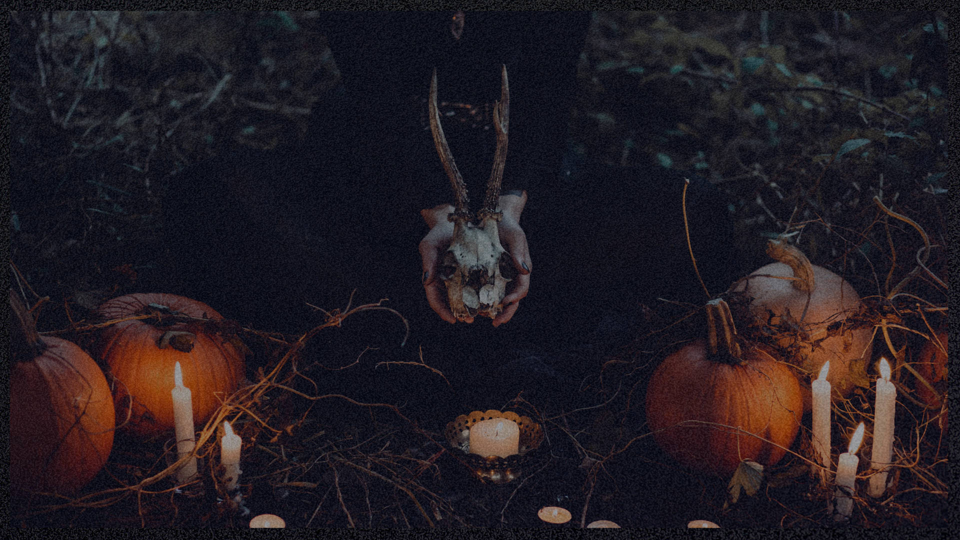deer skull, glowing candles, pumpkins, Full HD Desktop Wallpaper