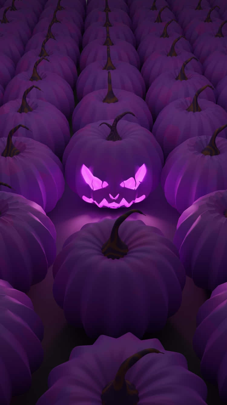 glowing jack-o'-lantern, purple pumpkins, dim purple light, HD Phone Wallpaper