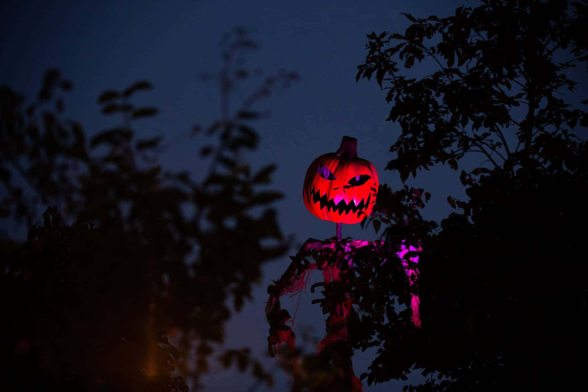 jack-o'-lantern, scarecrow silhouette, twilight sky, Full HD Desktop Wallpaper