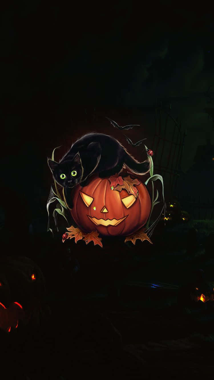 spooky iPhone, jack-o'-lantern, black cat, HD Phone Wallpaper
