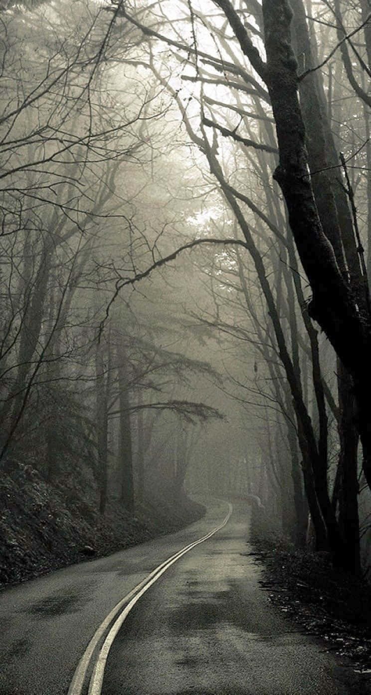 Spooky iPhone, mist, forest road, HD Phone Wallpaper
