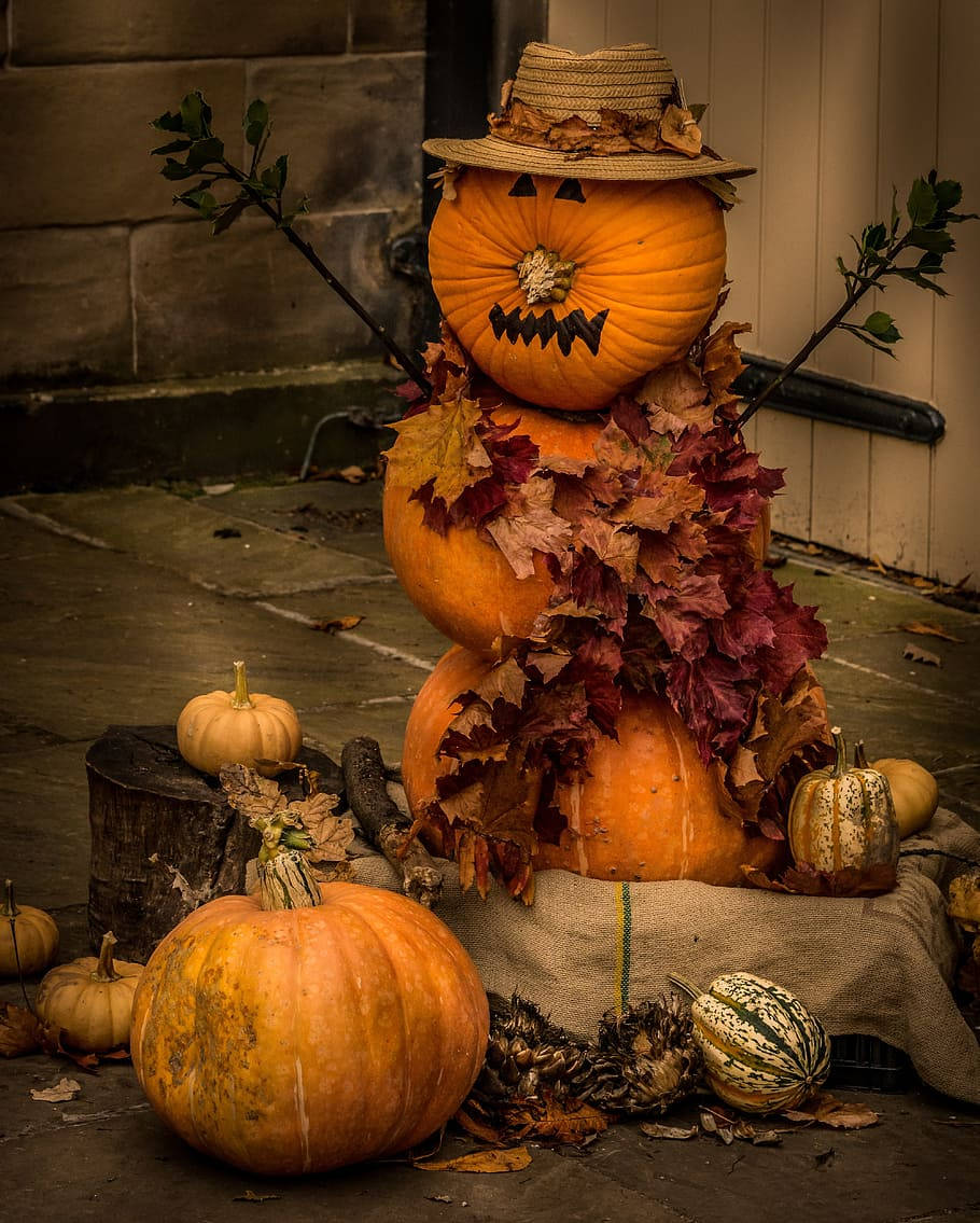 spooky season, scarecrow, pumpkins, SD Phone Wallpaper