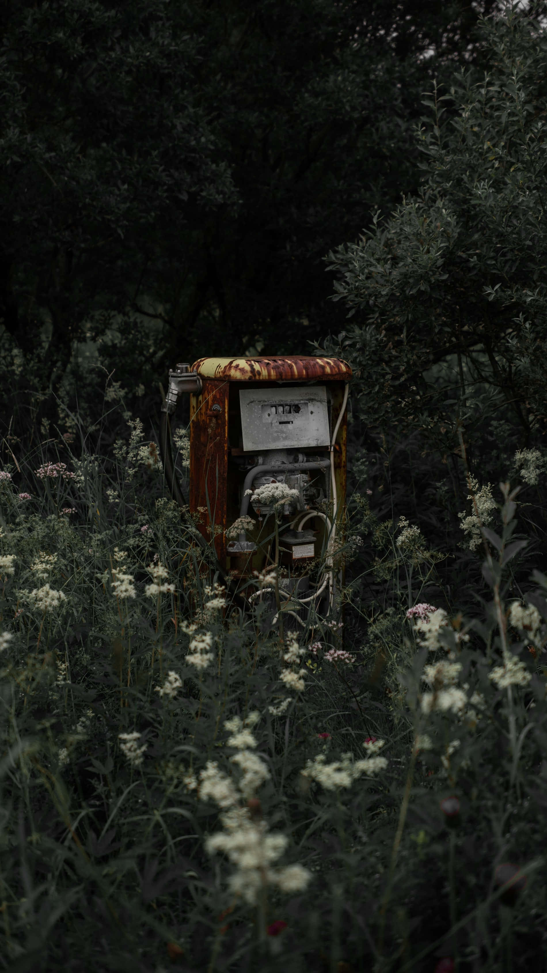 Gothic Aesthetic, rusted vintage gas pump, overgrown foliage, 2K Phone Wallpaper