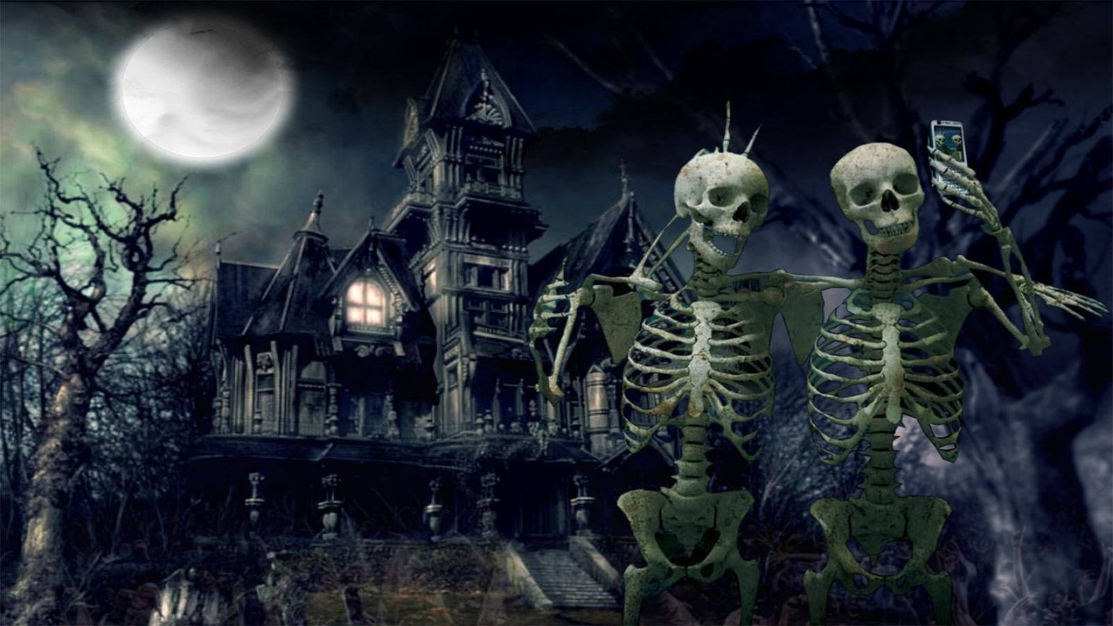 spooky skeleton selfie, two skeletons, phone, HD Desktop Wallpaper
