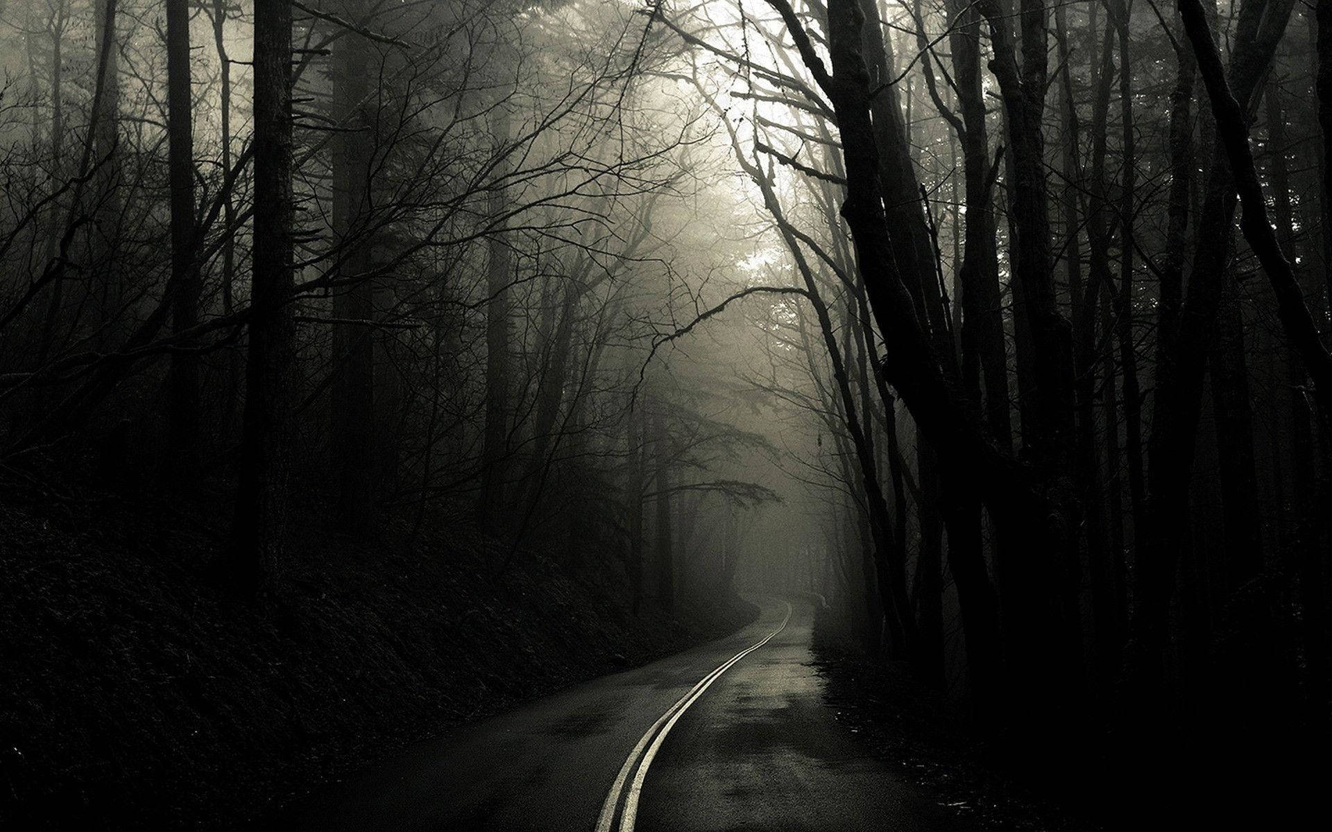 Spooky, dark road, misty forest road, Full HD Desktop Wallpaper