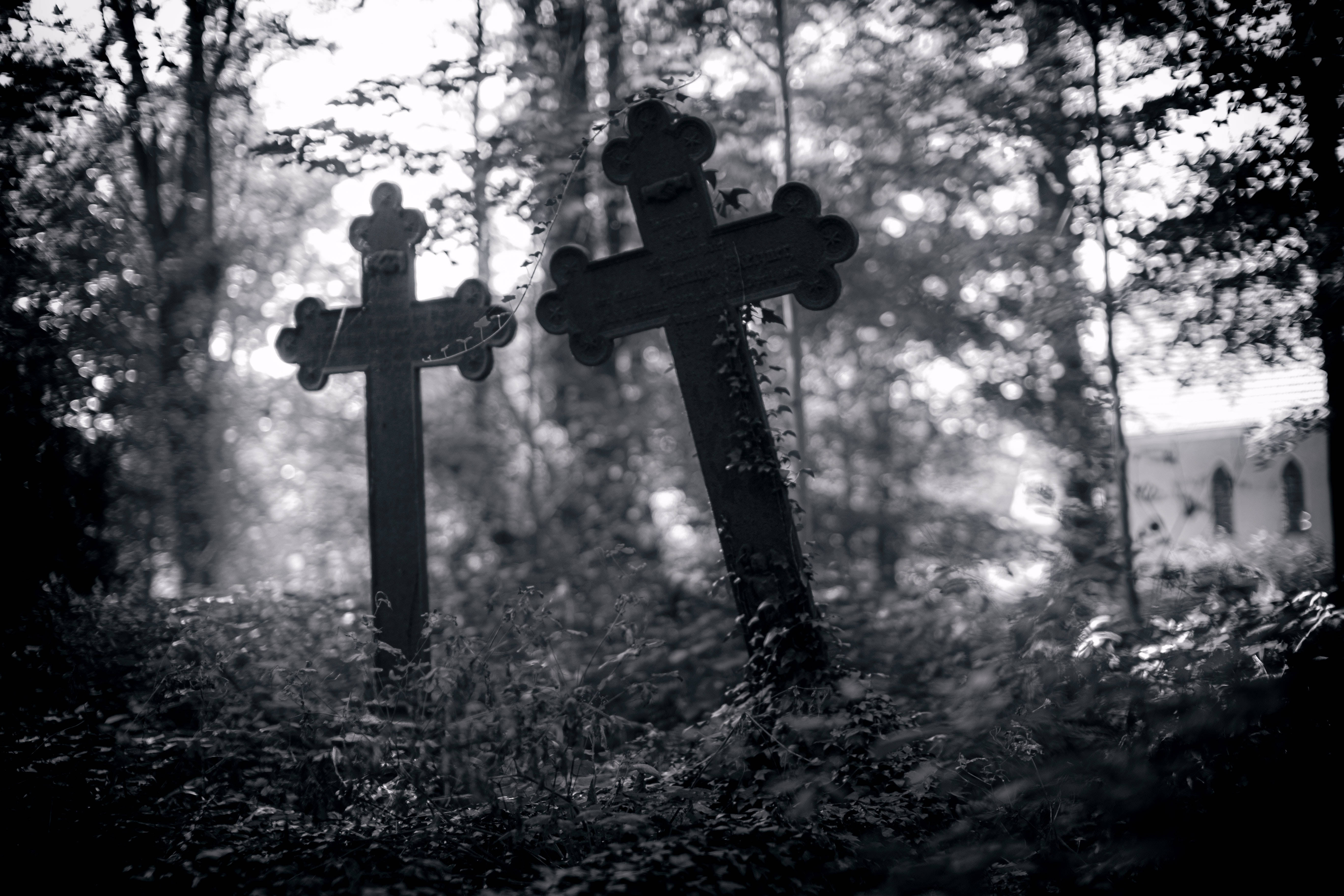 cross tombstones, graveyard, forest graveyard, 5K Desktop Wallpaper