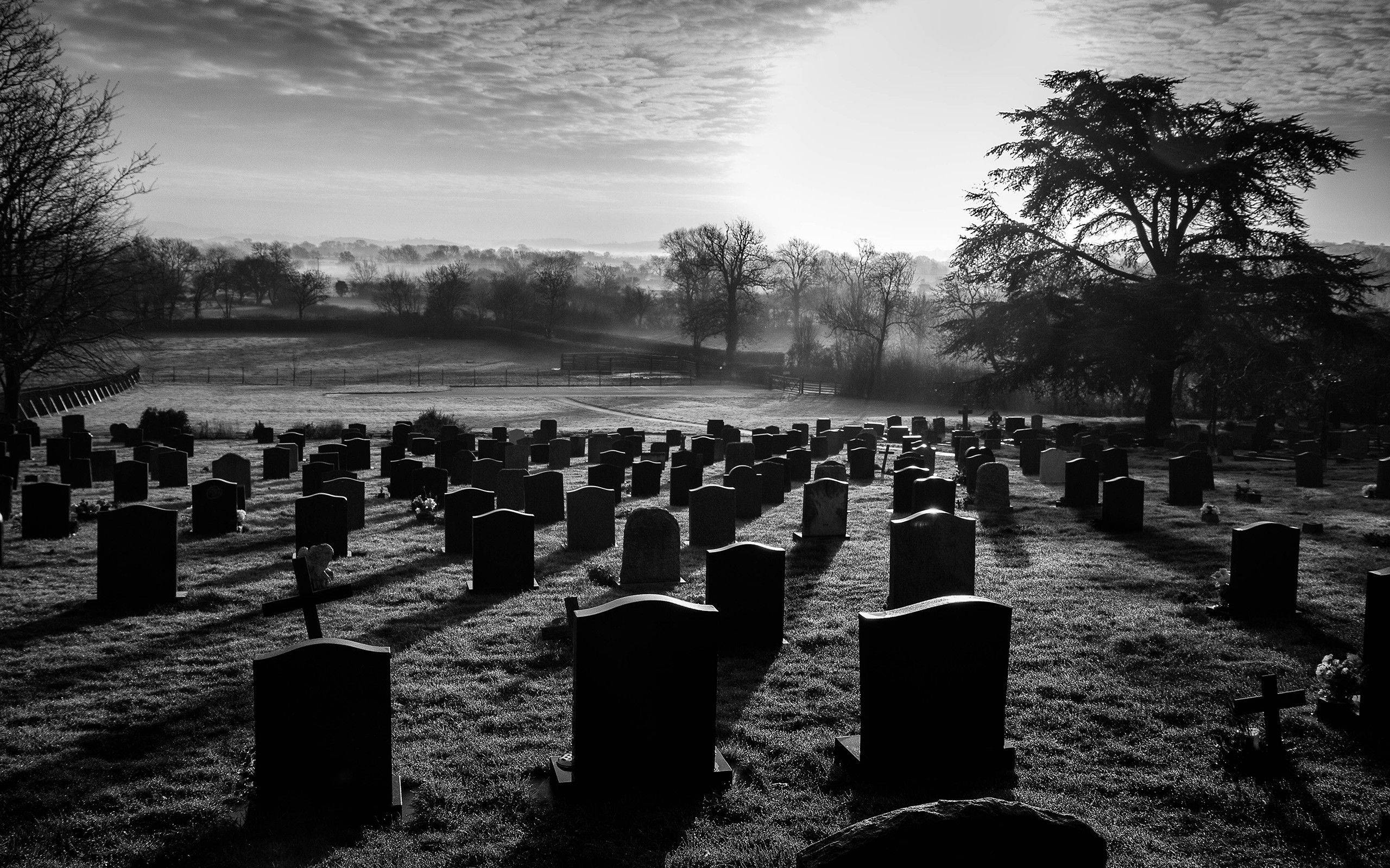 open field graveyard, misty cemetery, dawn, 2K Desktop Wallpaper