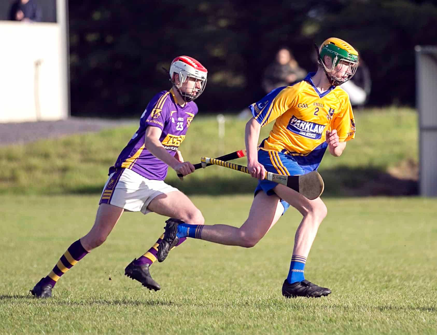 hurling, purple and yellow jerseys, sunlit grass field, HD Desktop Wallpaper