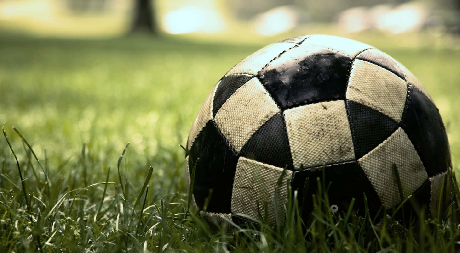 soccer ball, black and white, vibrant green grass, Full HD Desktop Wallpaper