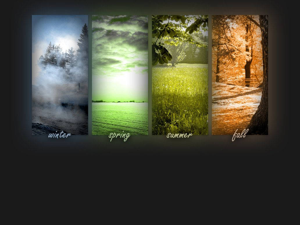 winter's misty lake, spring's green waters, summer's sunlit meadow, SD Desktop Wallpaper