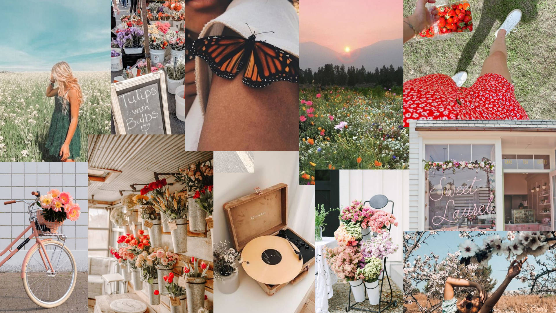 Spring Aesthetic Field, flowers, butterflies, Full HD Desktop Wallpaper