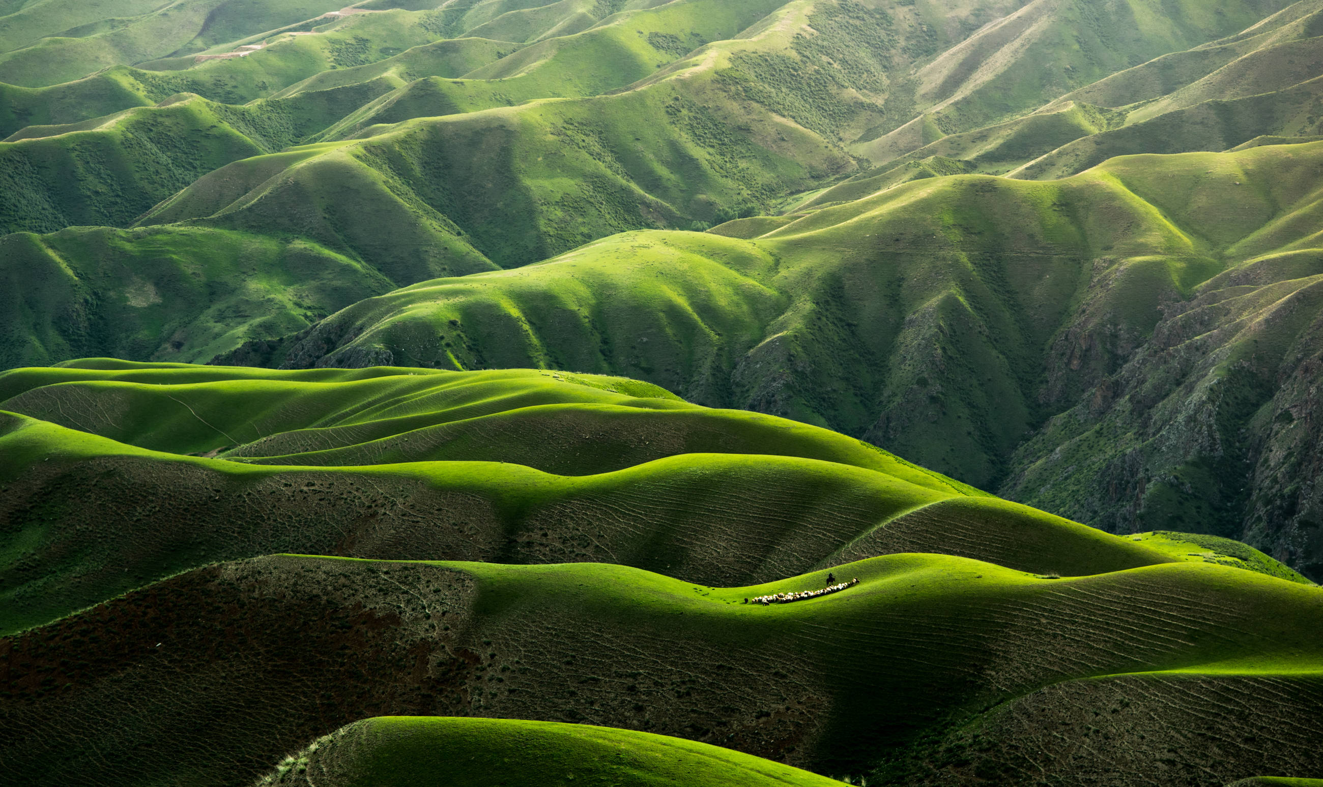 emerald hills, golden sunlight, undulating terrain, 2K Desktop Wallpaper