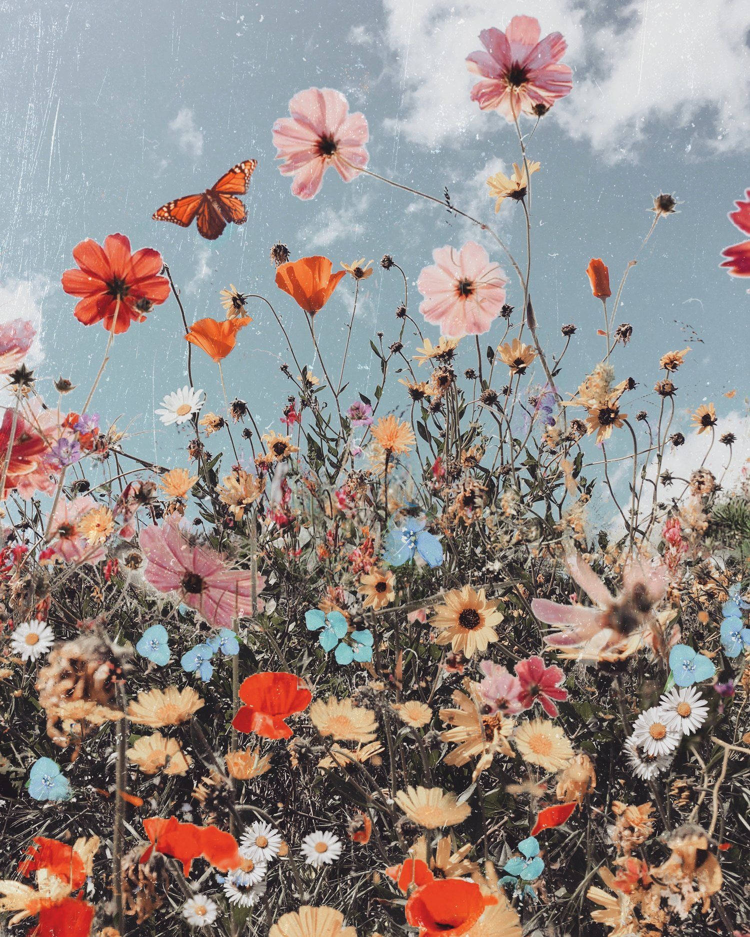 wildflowers, red pink and blue blooms, soft blue sky, HD Phone Wallpaper