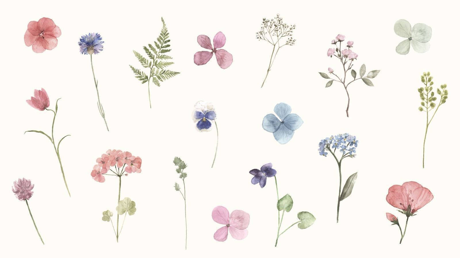 watercolor, flowers, ferns, HD Desktop Wallpaper