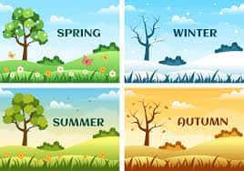 Spring Aesthetic, blossoms, clear skies, SD Desktop Wallpaper
