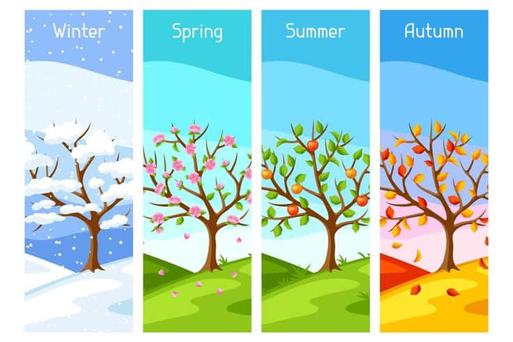 Digital Art Seasons, tree, winter, SD Desktop Wallpaper