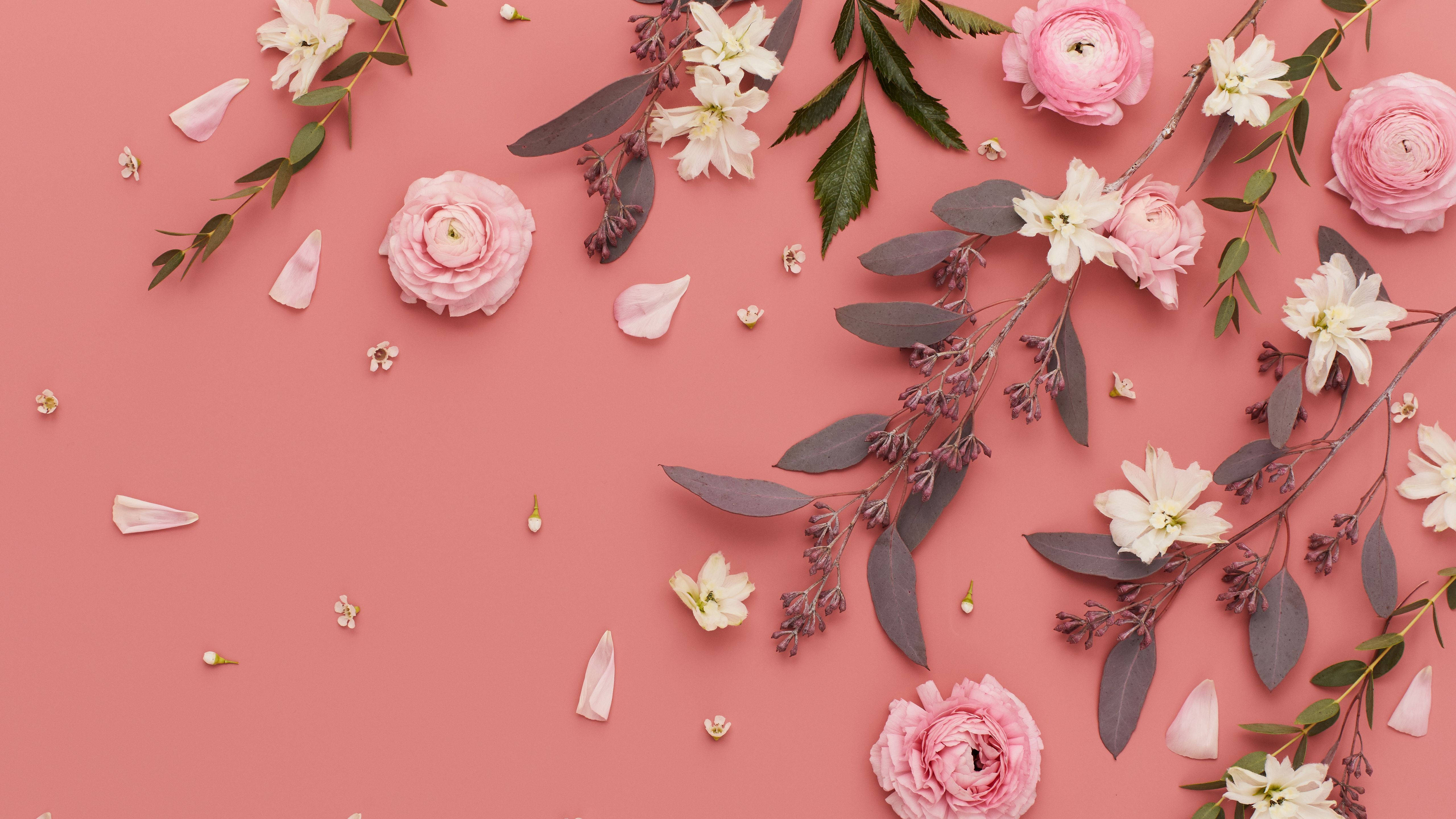 salmon pink, spring aesthetic, pink and white flowers, 5K Desktop Wallpaper