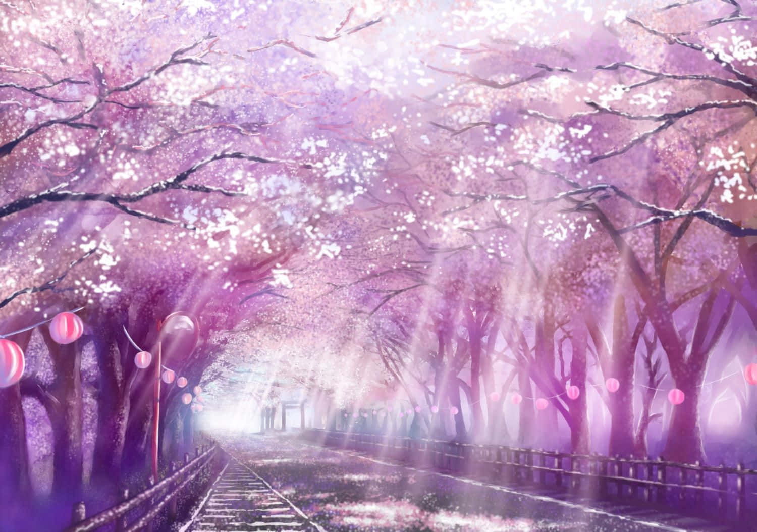 cherry blossoms, anime-style path, cherry blossom trees, HD Desktop Wallpaper