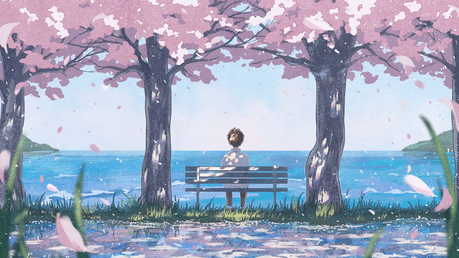Spring Anime, cherry blossom scene, pink cherry trees, Full HD Desktop Wallpaper