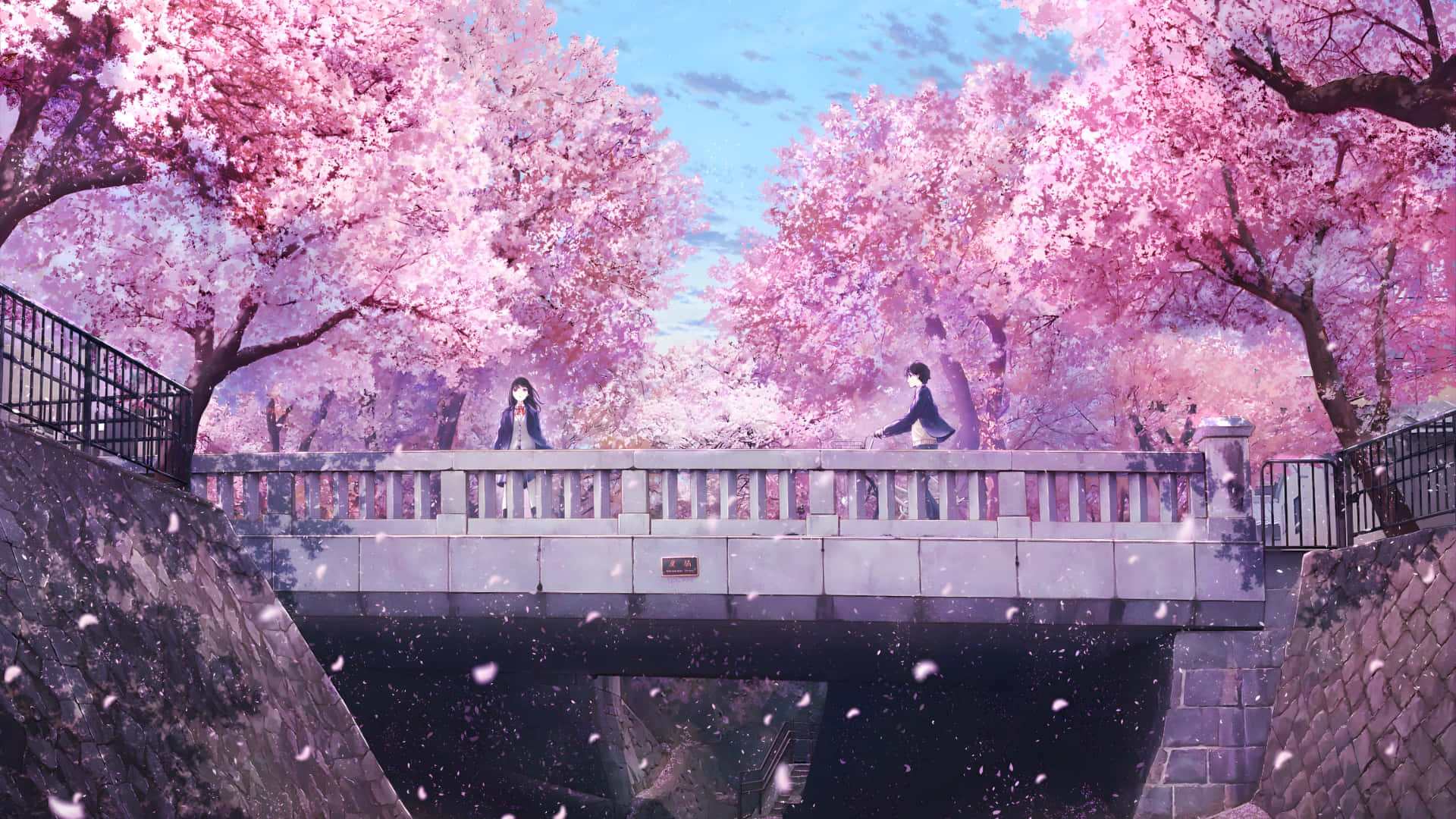 Spring Anime, cherry blossom scene, stone bridge, Full HD Desktop Wallpaper
