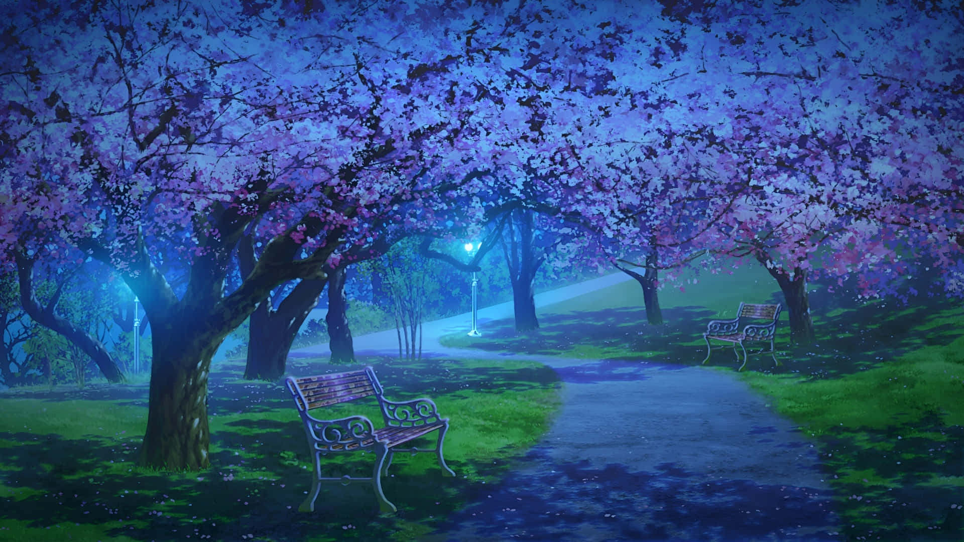 Spring Anime, cherry blossom, glowing purple, Full HD Desktop Wallpaper