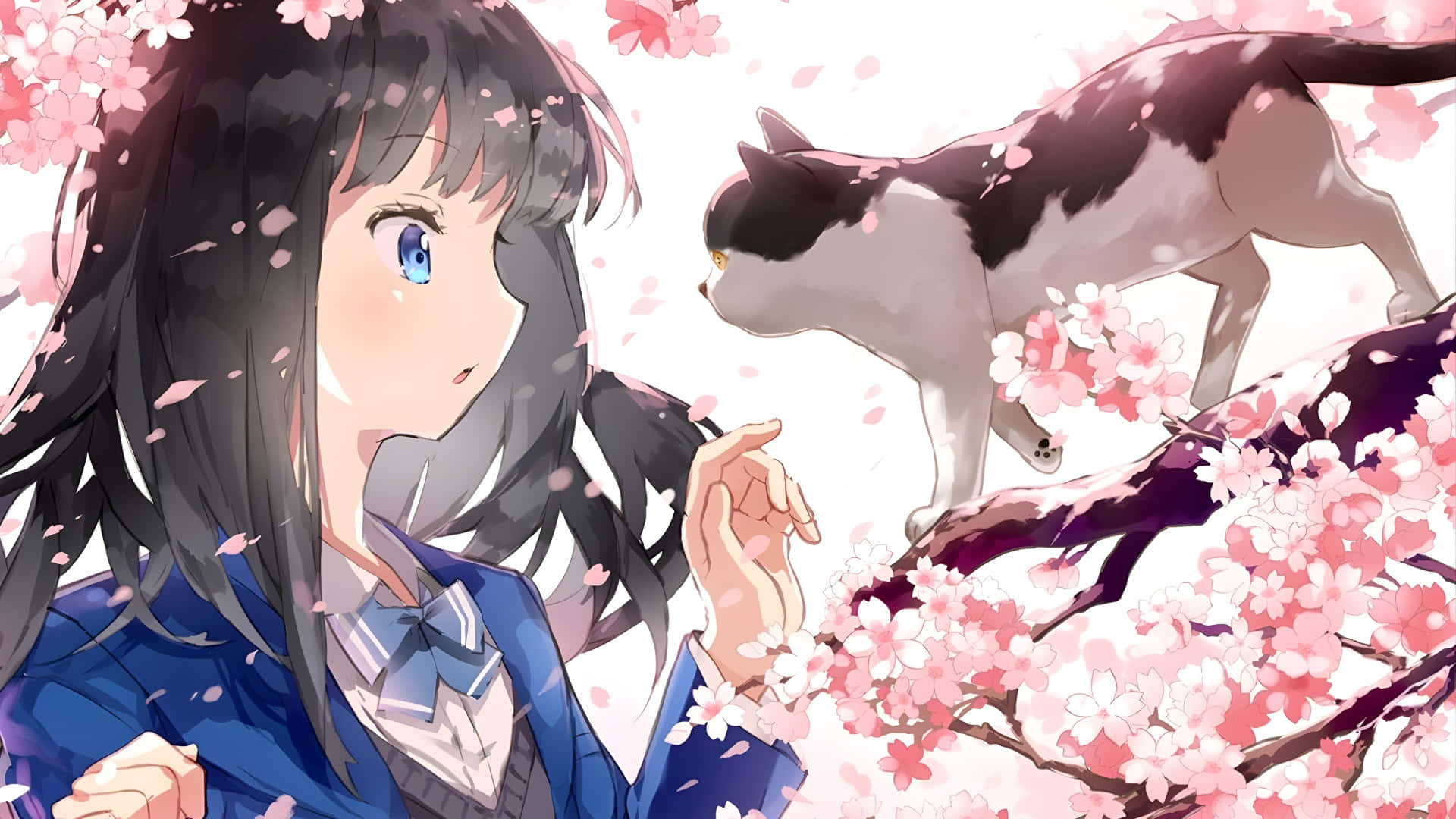 anime girl, school uniform, black and white cat, Full HD Desktop Wallpaper