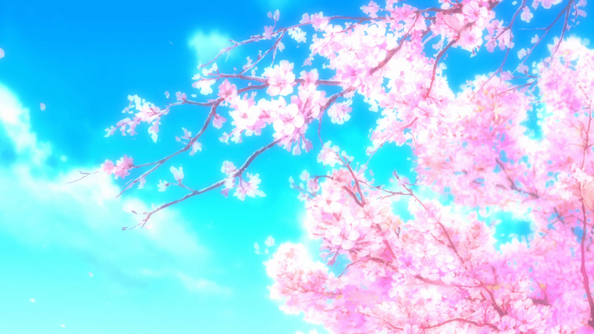 Anime Spring Aesthetic, pink cherry blossoms, bright cyan sky, Full HD Desktop Wallpaper