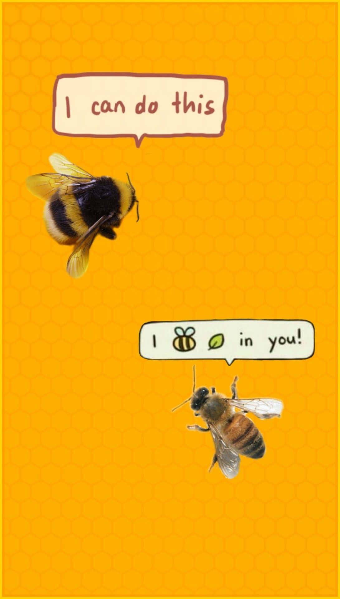 aesthetic bee, cartoon bees, honeycomb patterned yellow background, Full HD Phone Wallpaper