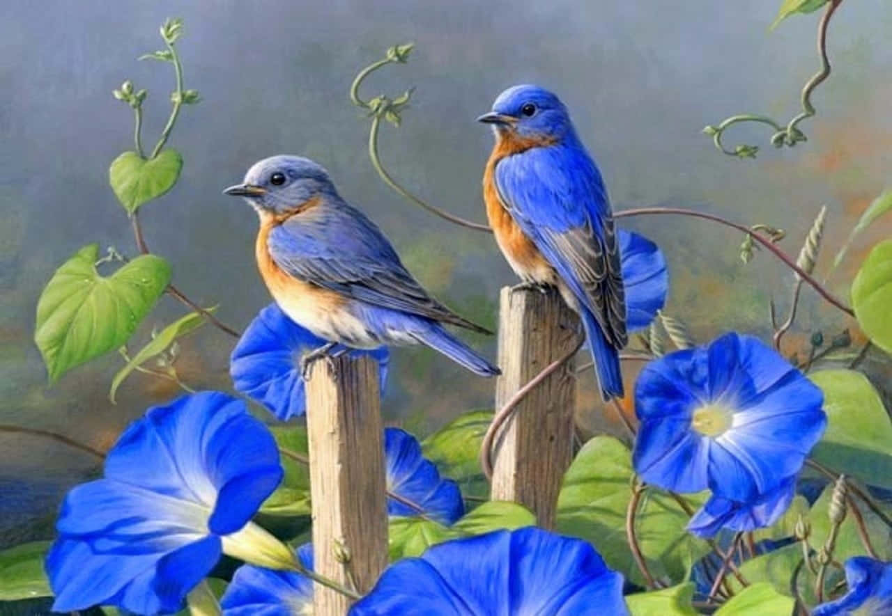 bluebirds, blossoming branch, vibrant blue morning glory flowers, HD Desktop Wallpaper